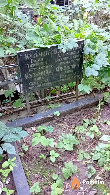 Федорова Анна Павловна
