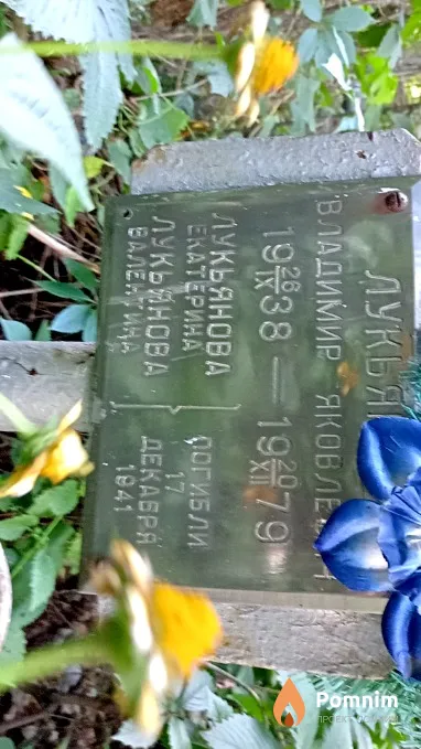 Лукьянова Екатерина