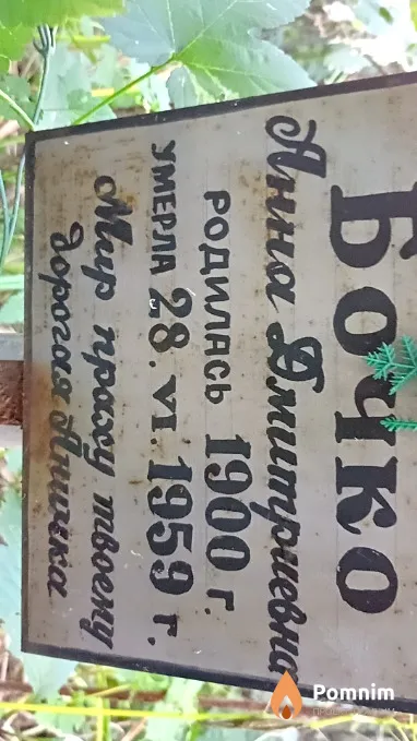 Бочко Анна Дмитриевна