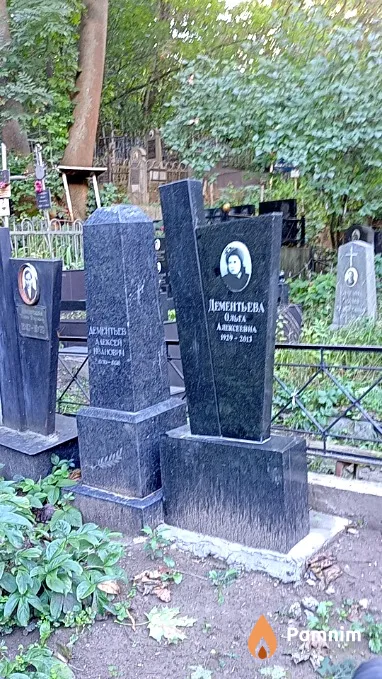 Дементьева Ольга Алексеевна
