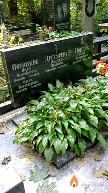 Дегтярёва Надежда Ивановна