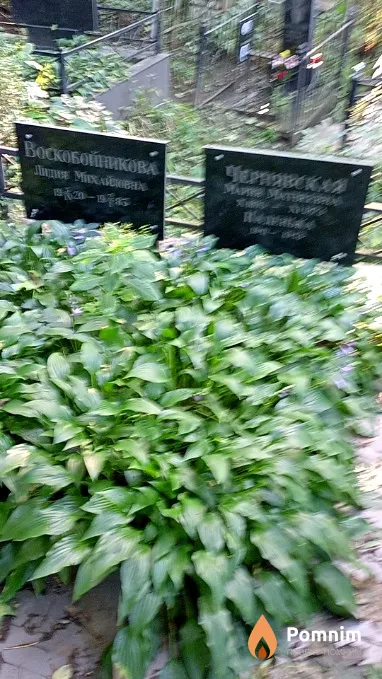 Воскобойникова Лидия Михайловна