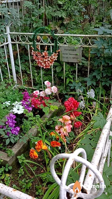 Макаренко Виктор Николаевич