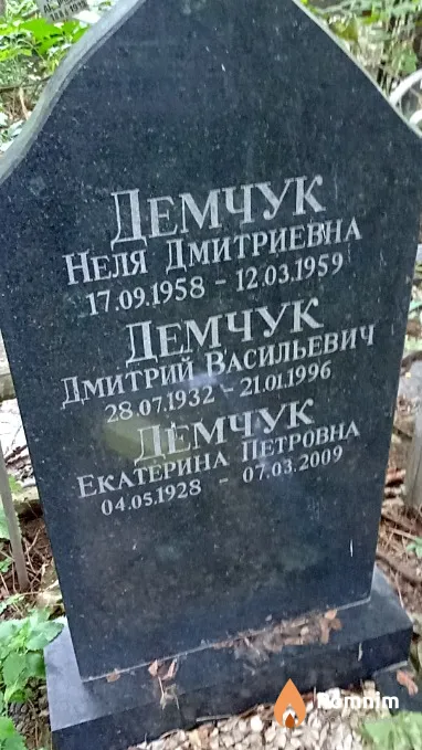 Демчук Дмитрий Васильевич
