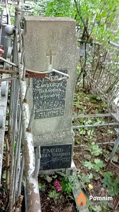 Емець Елизавета Павловна