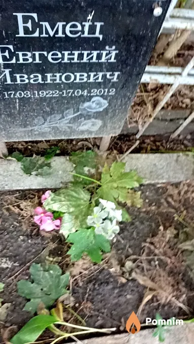 Емец Евгений Иванович