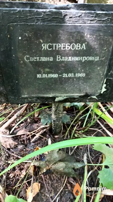 Ястребова Светлана Владимировна