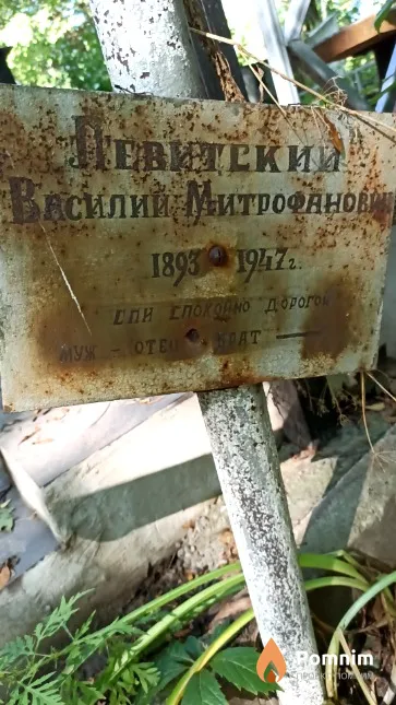 Левитский Василий Митрофанович