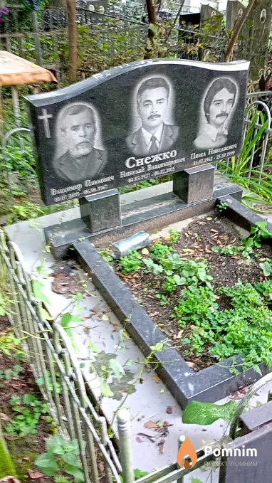 Снежко Николай Владимирович