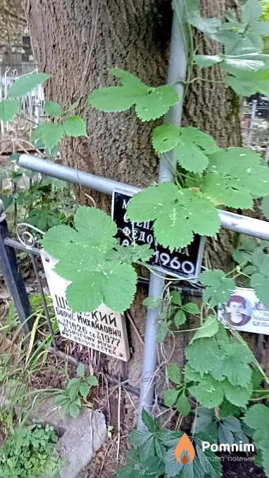 Шумский Борис Михайлович