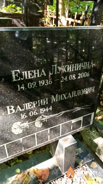 Климина Елена Лукинична