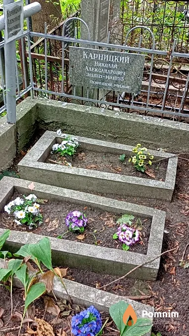 Карницкий Николай Александрович