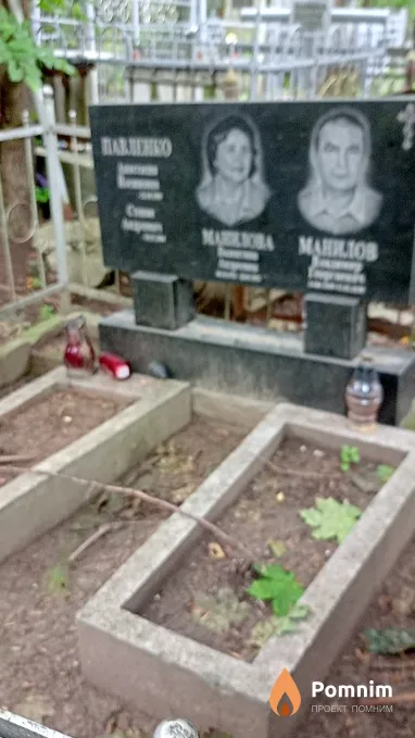 Манилов Владимир Георгиевич