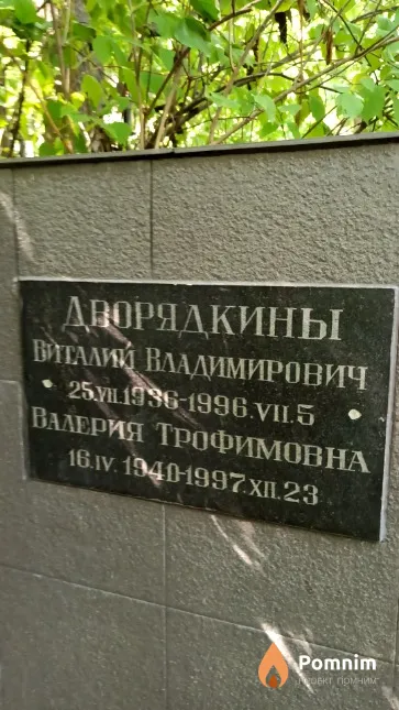 Дворядкин Виталий Владимирович