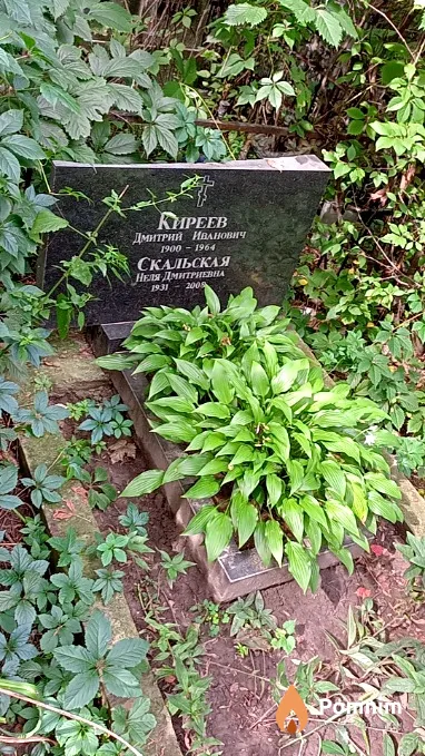 Кириев Дмитрий Иванович