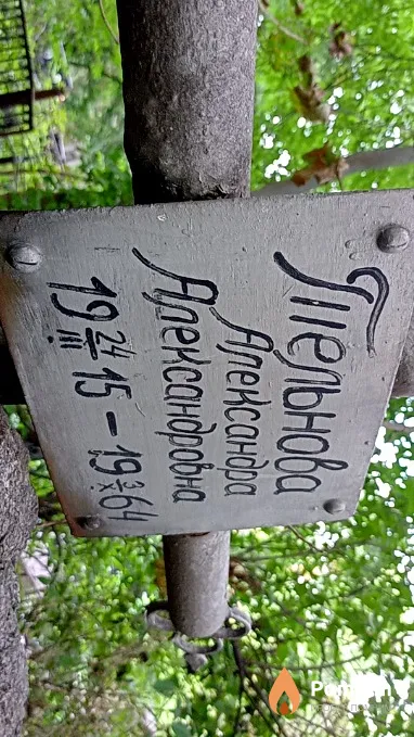 Тельнова Александра Александровна