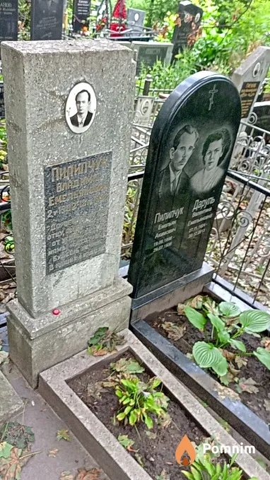 Пилипчук Владимир Емельянович