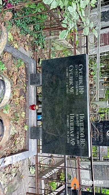 Суслик И Ф