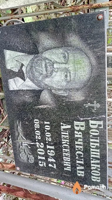 Большаков Вячеслав Алексеевич