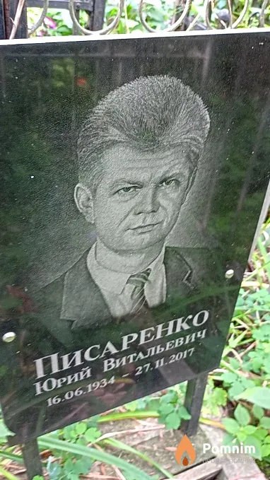 Писаренко Юрий Витальевич