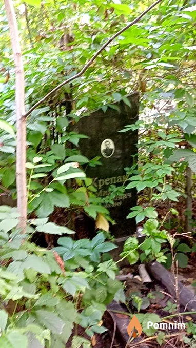 Крепак Михаил Романович