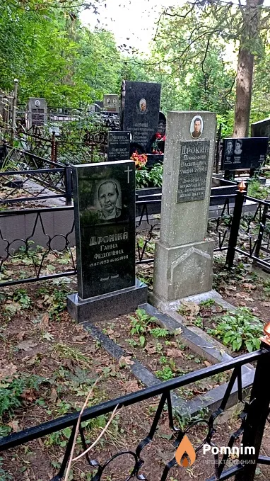 Дрокина Анна Федоровна