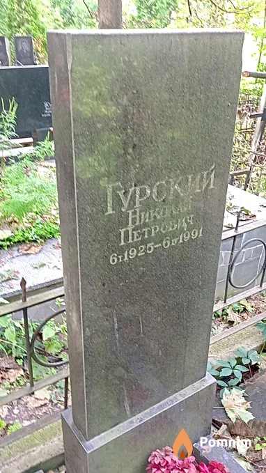 Гурский Николай Петрович