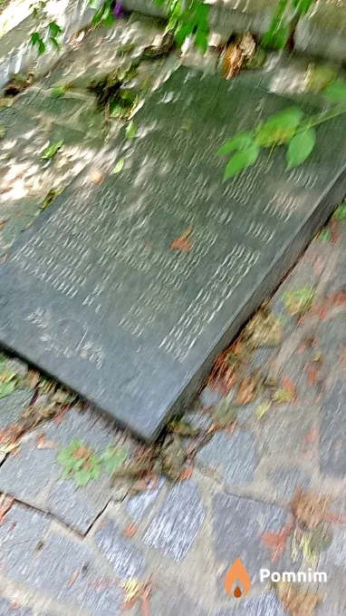 Поздняк И А