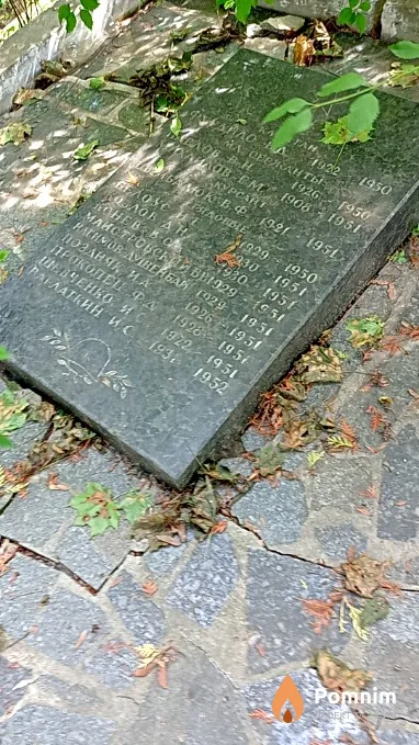 Маистровский В В