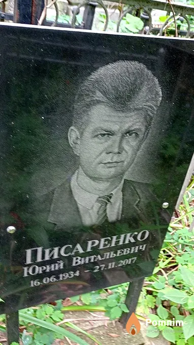 Писаренко Юрий Витальевич