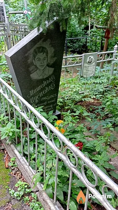 Мусиенко Михаил