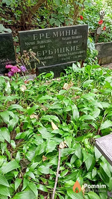 Еремина Мария Николаевна