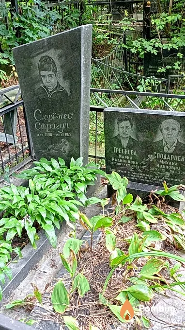 Стригун Сергей