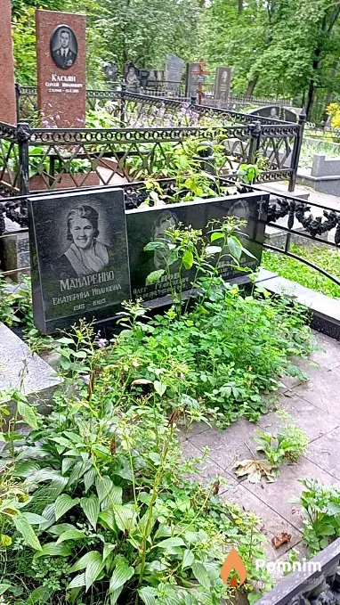 Панов Вячеслав Геогиевич