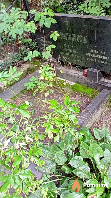 Ивженко Николай Дмитриевич