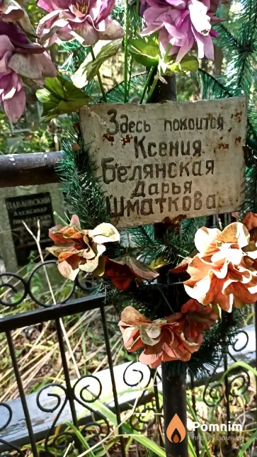 Шматкова Дарья