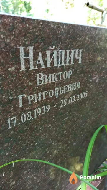 Найдич Виктор Григорьевич