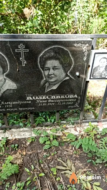 Колесникова Нина Виссарионовна