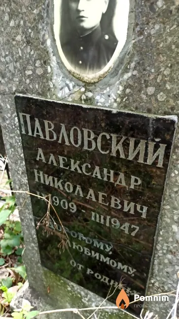 Павловский Александр Николаевич