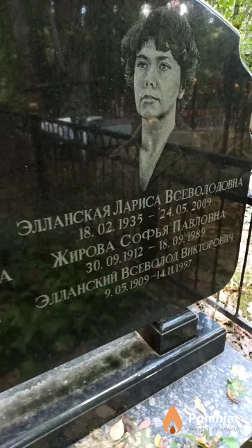 Элланский Всеволод Викторович