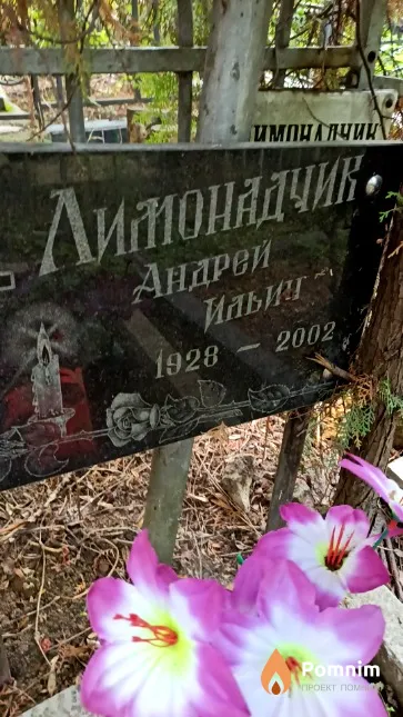 Лимонадчик Андрей Ильич
