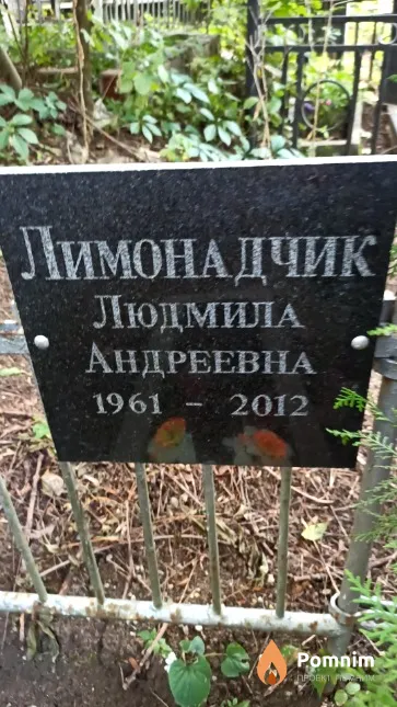 Лимонадчик Людмила Андреевна