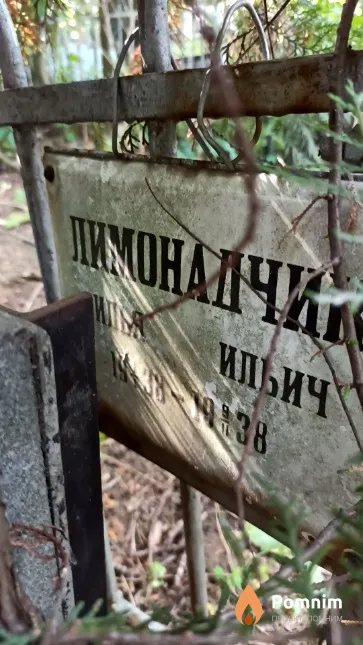 Лимонадчик Илья Ильич
