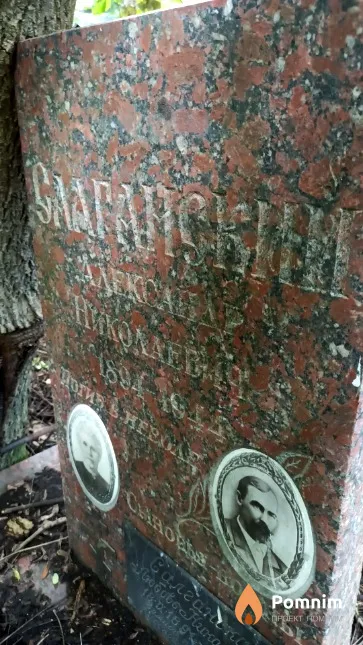 Салганский Александр Николаевич
