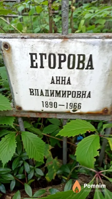 Егорова Анна Владимировна
