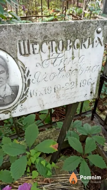 Шестовских Анна Яковлевна