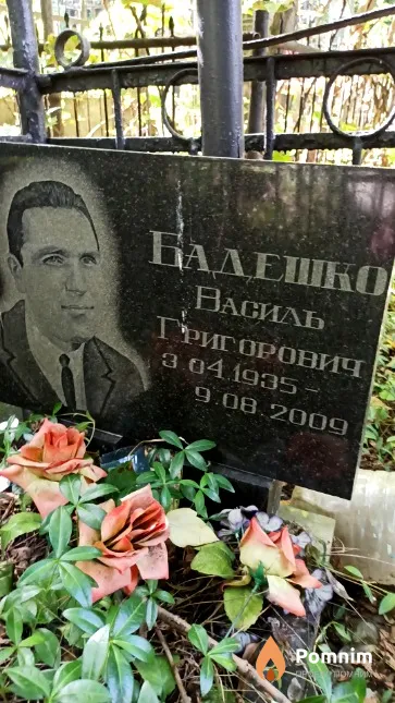 Бадешко Василь Григорович