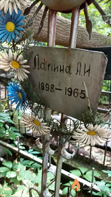 Лапина А. И.
