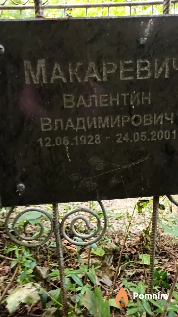 Макаревич Валентин Владимирович