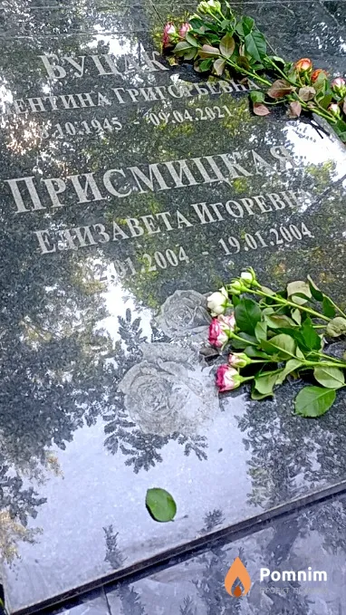 Присмицкая Елизавета Игоревна